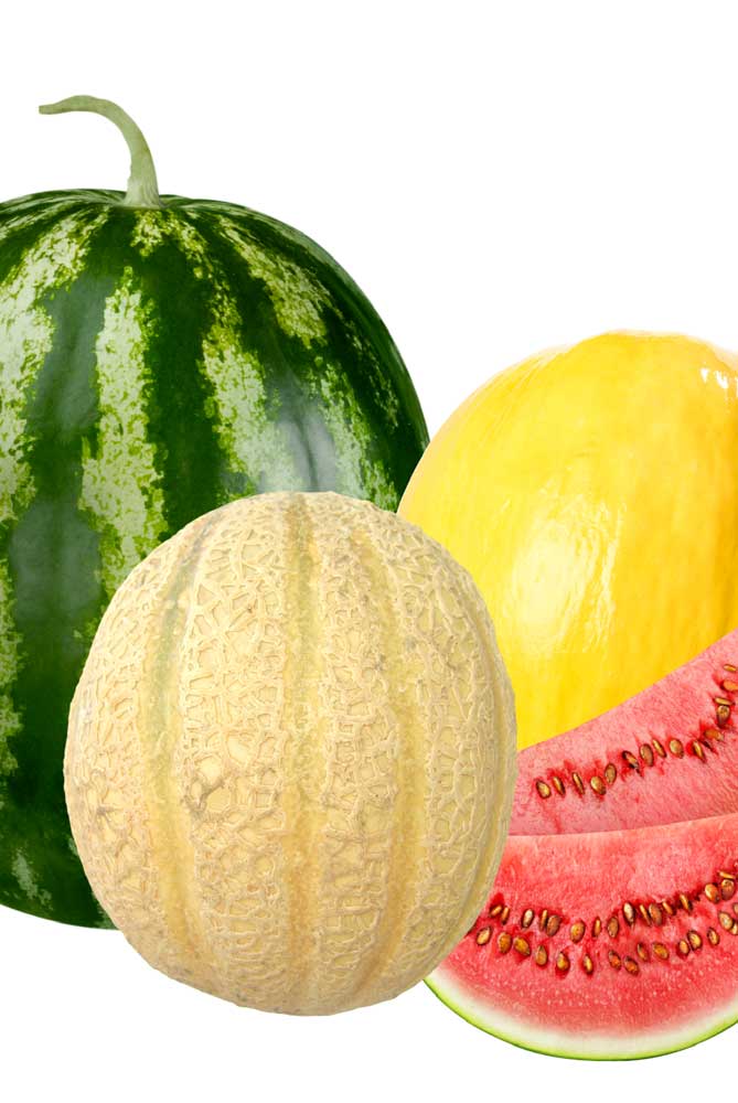 Melon Background Image
