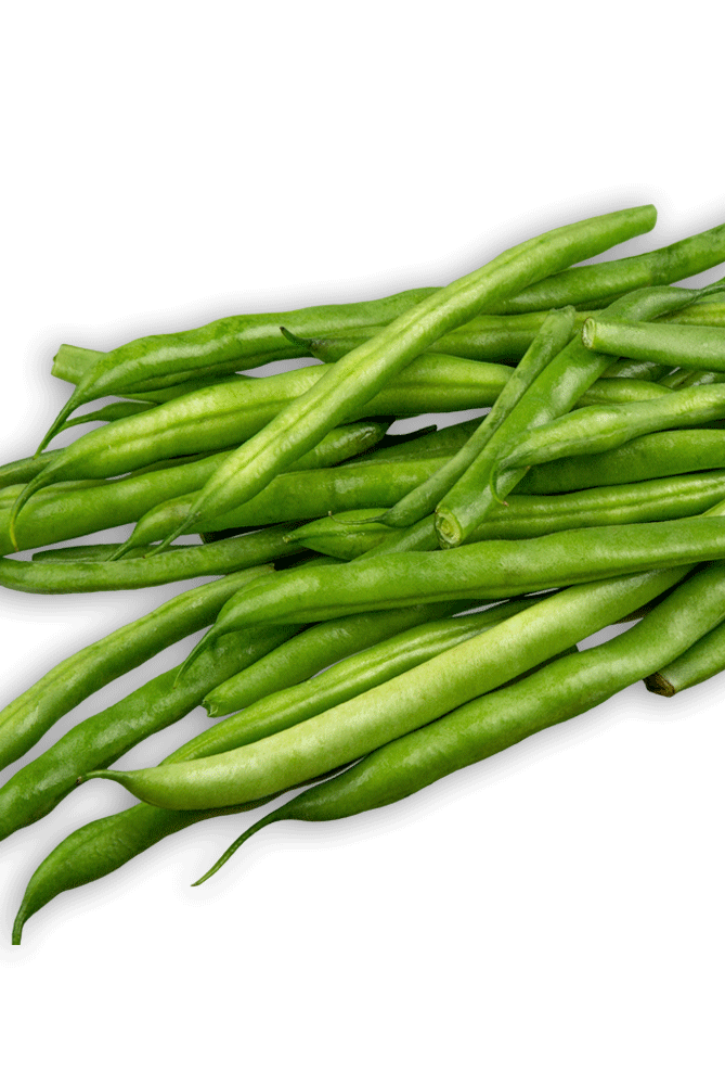 Bean Image