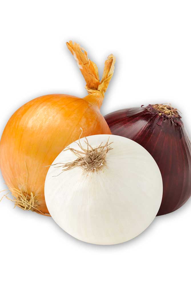 Vegggie-onion